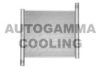 AUTOGAMMA 102307 Radiator, engine cooling